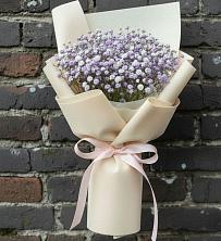 Букет цветов из:  Гипсофила в Цветово 1-ом