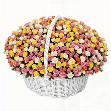 Премиум букет из: Розы в Цветово 1-ом