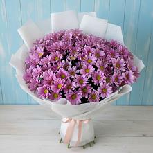 Букет цветов из:  Хризантемы в Цветово 1-ом