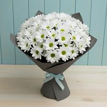 Букет цветов из:  Хризантемы в Цветово 1-ом