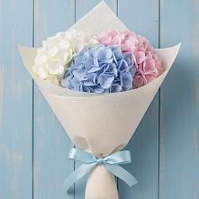 Букет цветов из:  Гортензия в Цветово 1-ом