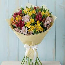 Букет цветов из:  Альстромерии #REPLACE_PRED# Цветово 1-ом