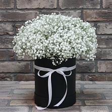 Цветочная композиция из Гипсофила в шляпной коробке в Цветово 1-ом